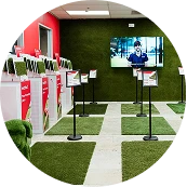 Grass Carpets Collections