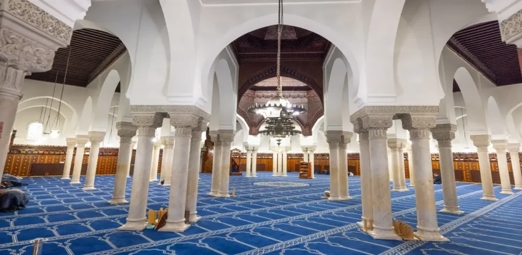 Premium Mosque Carpet