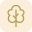 tree (1)