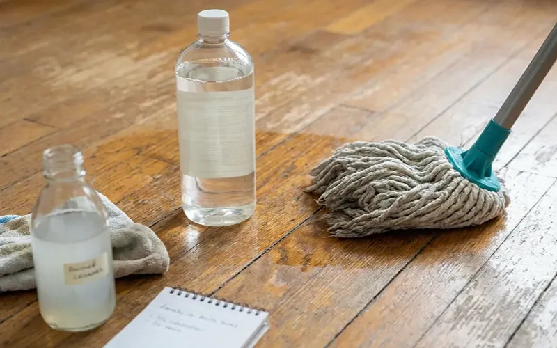 Step 2 Choose a Suitable Cleaner